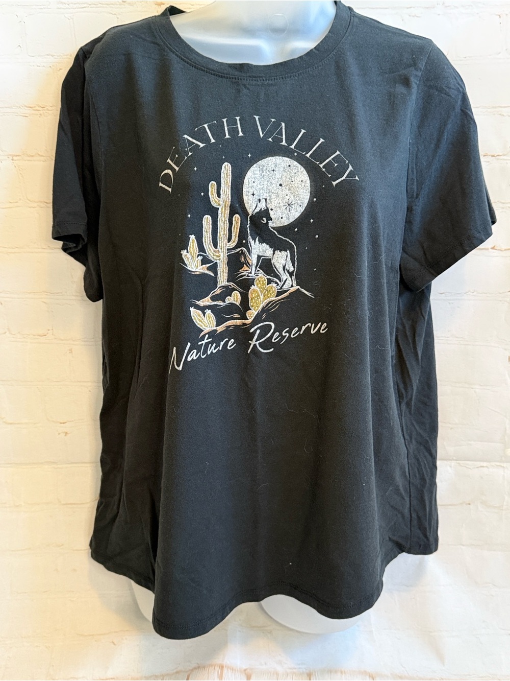 Mighty Fine Death Valley Nature Reserve Graphic Tee - Faded Black